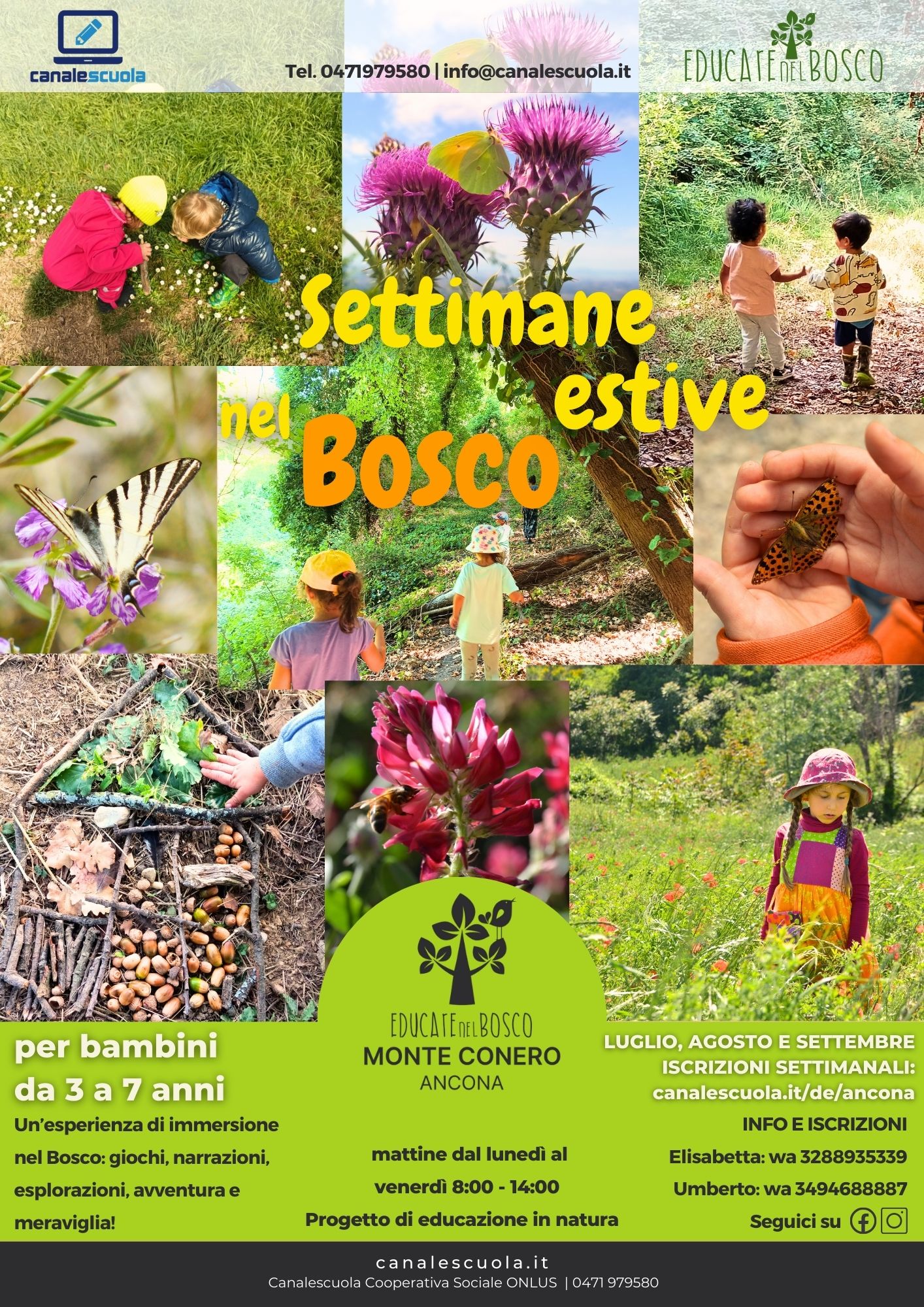 canalescuola_settimane_estive_nel_bosco_2025_ancona