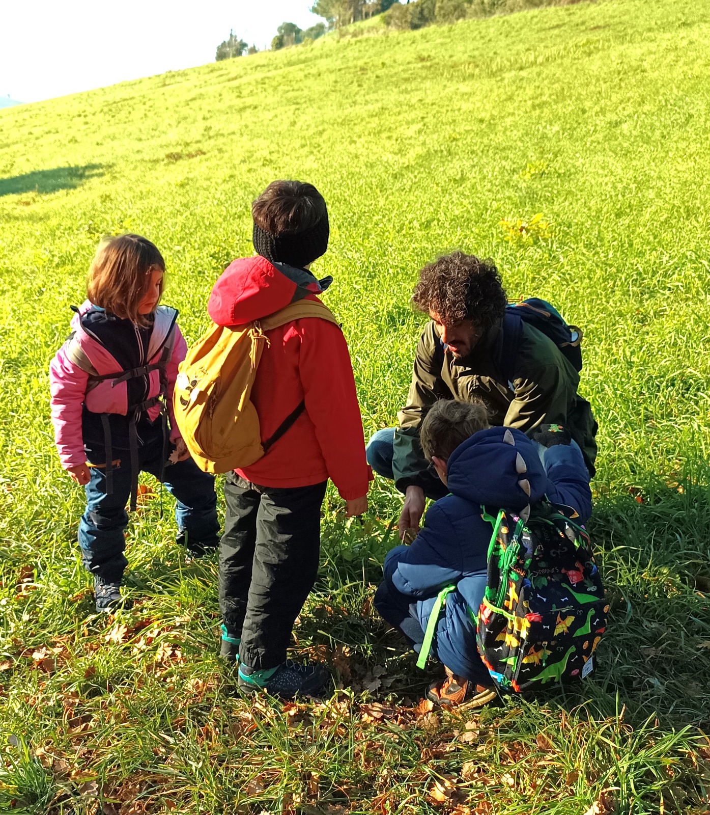 img home scuola nel bosco ancona01