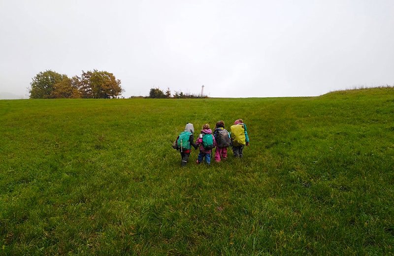 img home scuola pecorile02