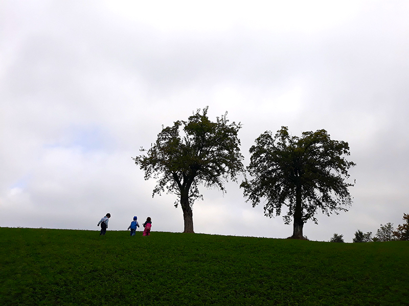 img home scuola pecorile05
