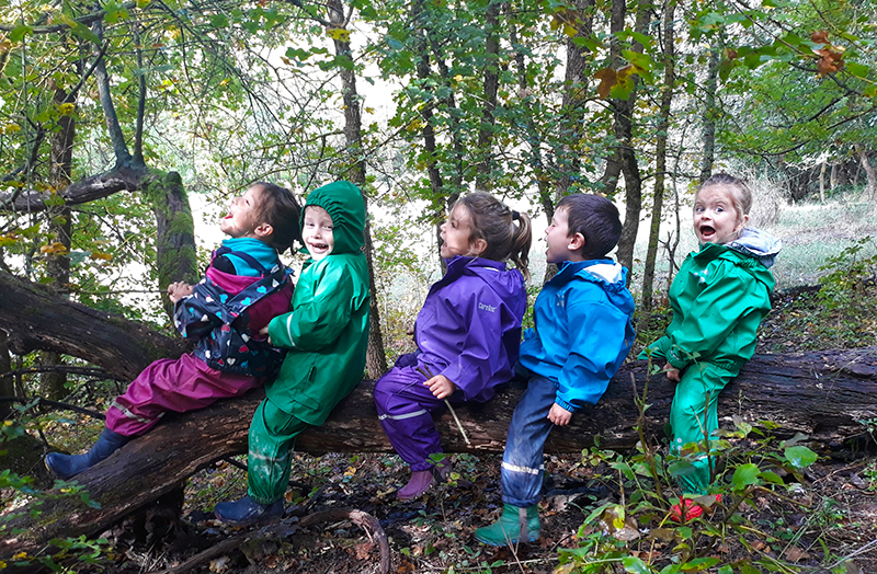 img home scuola pecorile14