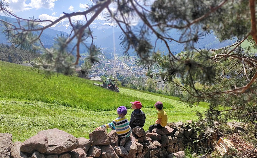 img home waldindergarten stulrich12