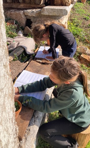 img home scuola creativity caprino06